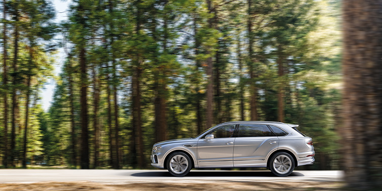 Bentley Hampshire Bentley Bentayga Extended Wheelbase SUV in Moonbeam paint driving dynamically on a forest road